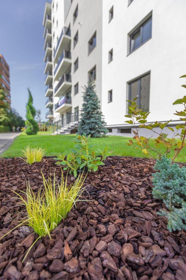 Avram Iancu Apartments Braşov Exterior foto